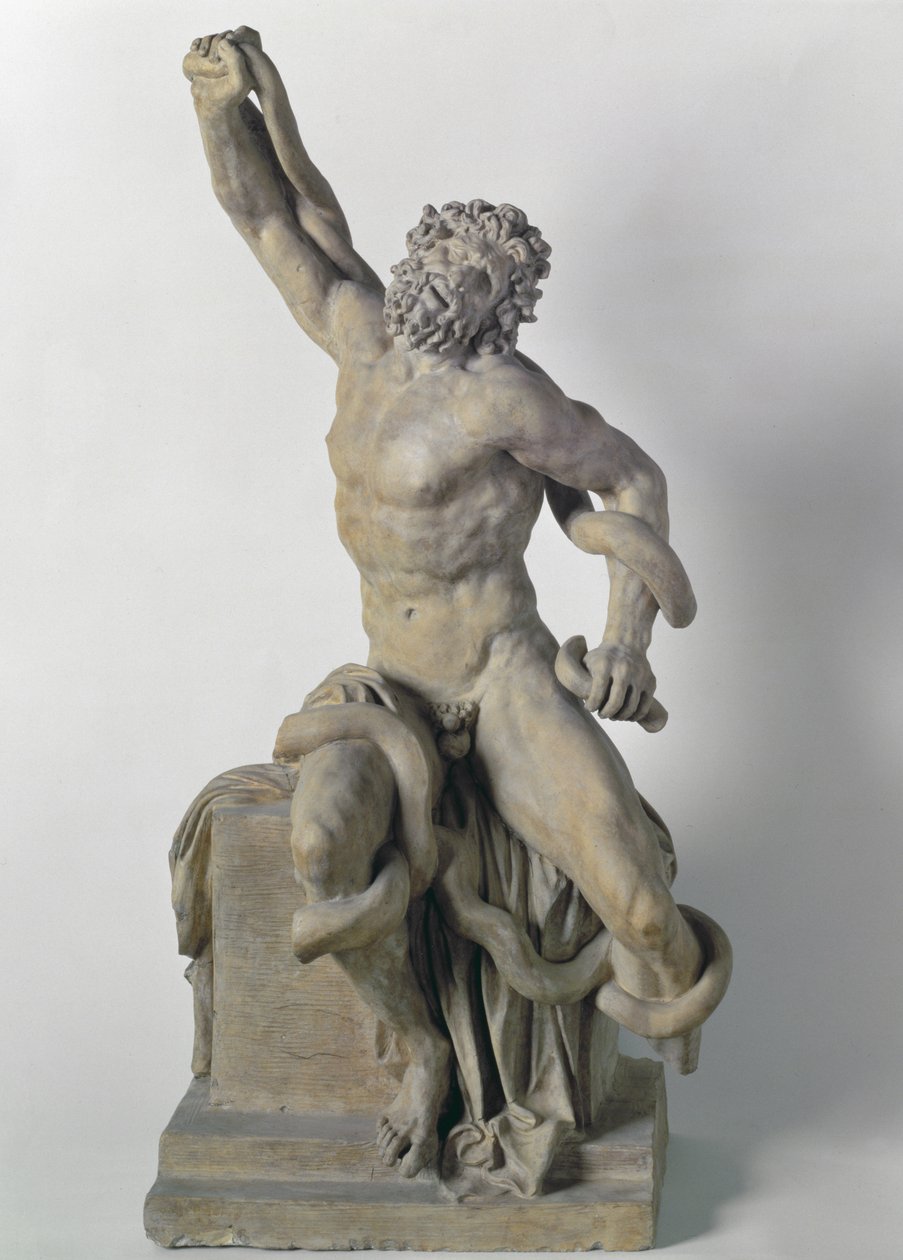 Escultura del Laocoonte, usada como mapa de señales del cuerpo hacia el cerebro